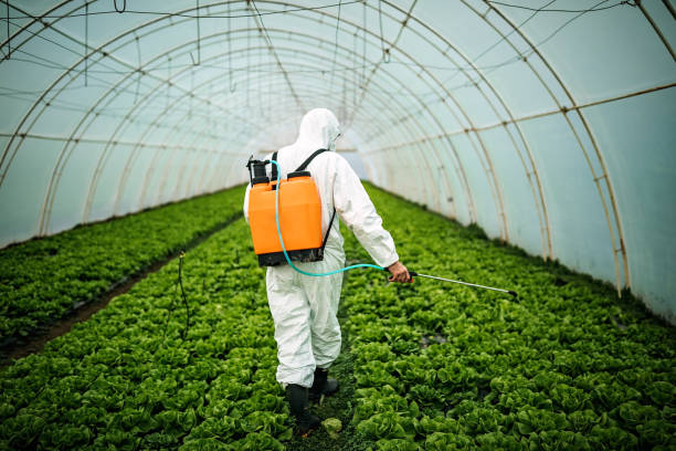 Insect Control in North Babylon, NY