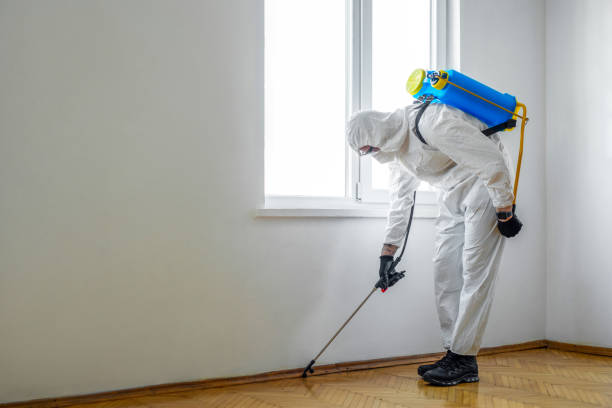 Best Pest Prevention Services  in North Babylon, NY