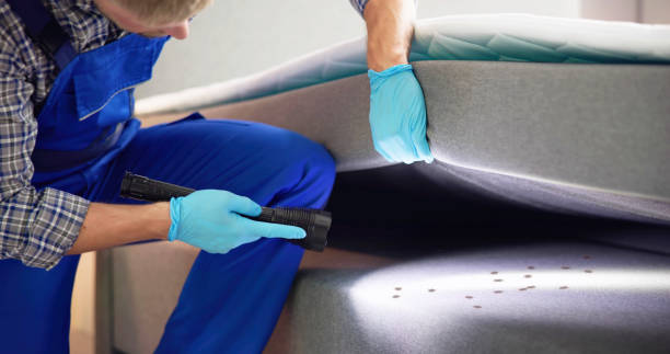 Best Emergency Pest Control  in North Babylon, NY