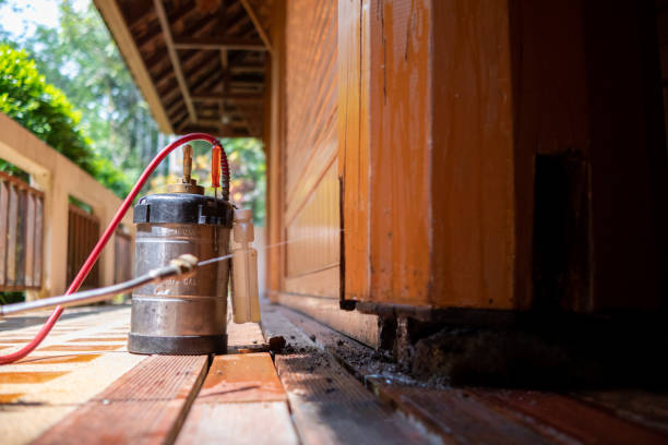 Best Best Pest Control Companies  in North Babylon, NY