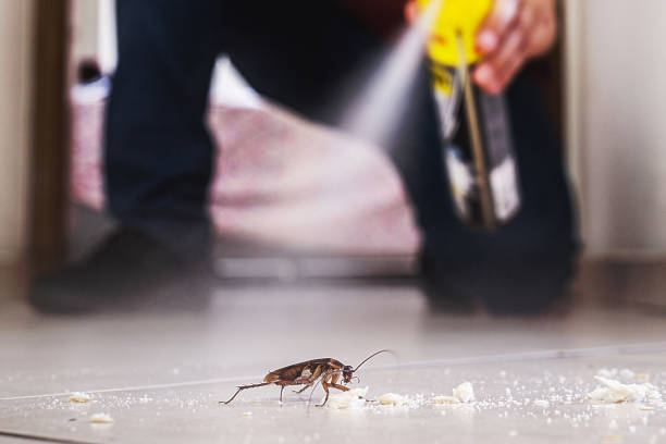 Best Commercial Pest Control Services  in North Babylon, NY